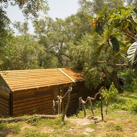 Pelekas Olive Grove Oasis Room No4 Exteriör bild