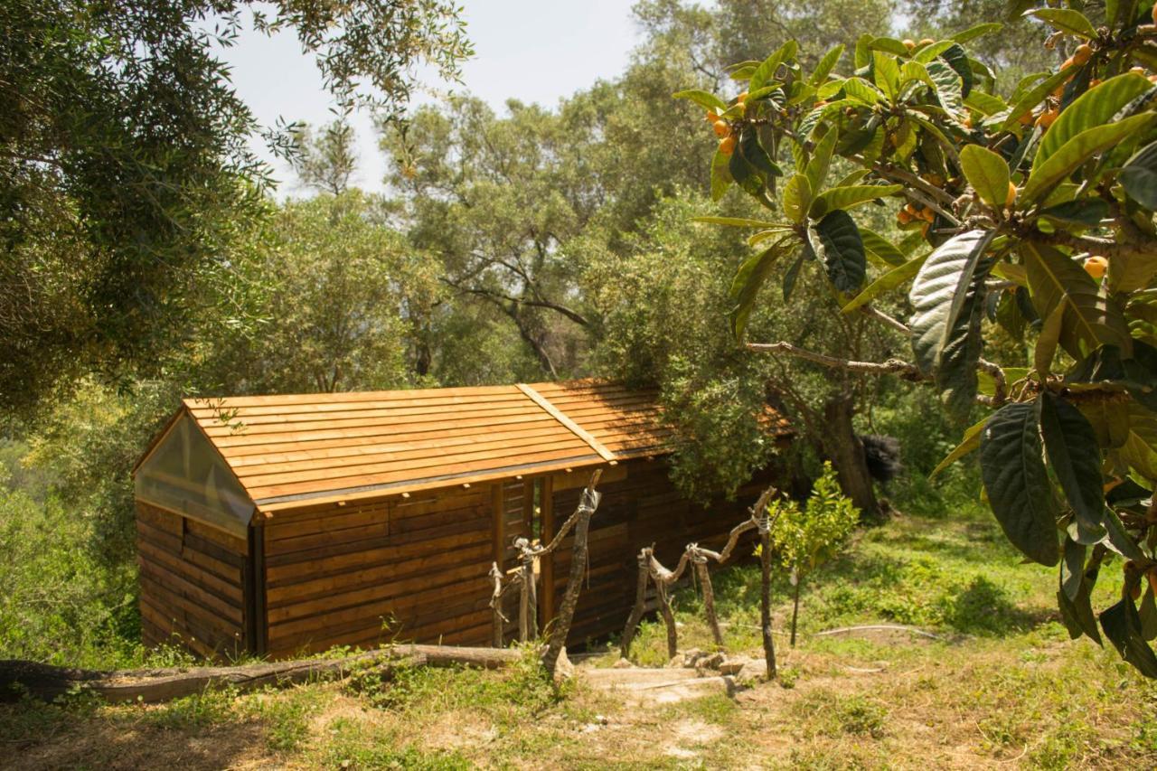 Pelekas Olive Grove Oasis Room No4 Exteriör bild